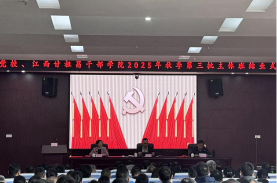 学思践悟强党性2319